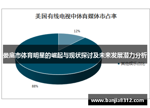 娄底市体育明星的崛起与现状探讨及未来发展潜力分析